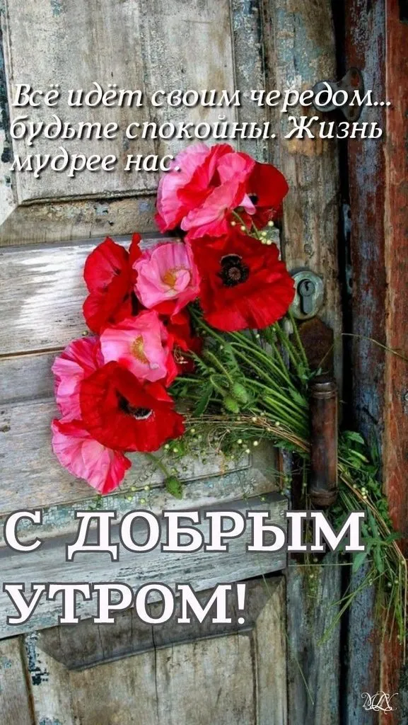 Tapтaлeтки & Ко