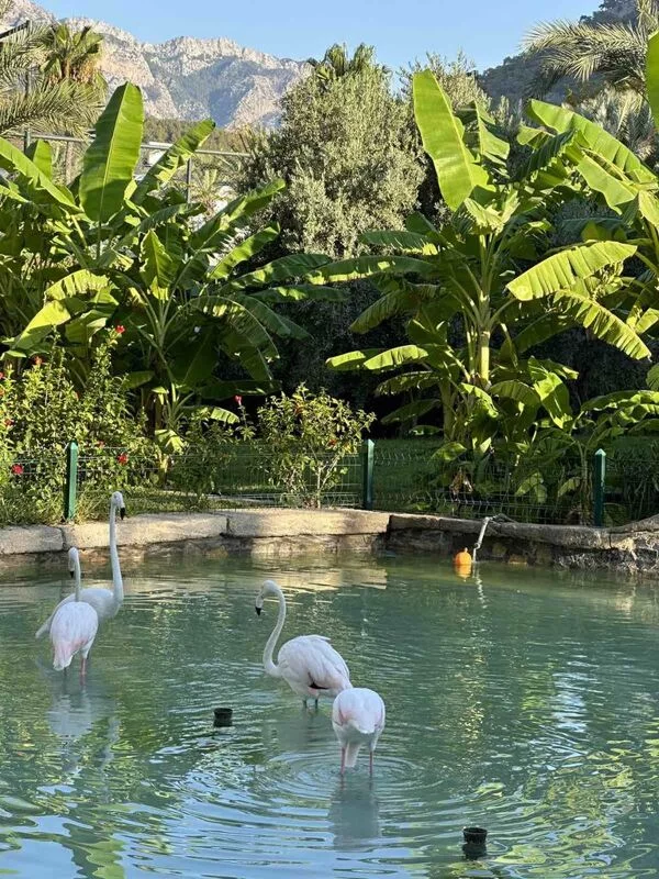 Фотонастроение