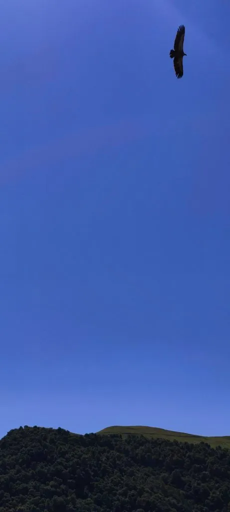 Такое разное небо