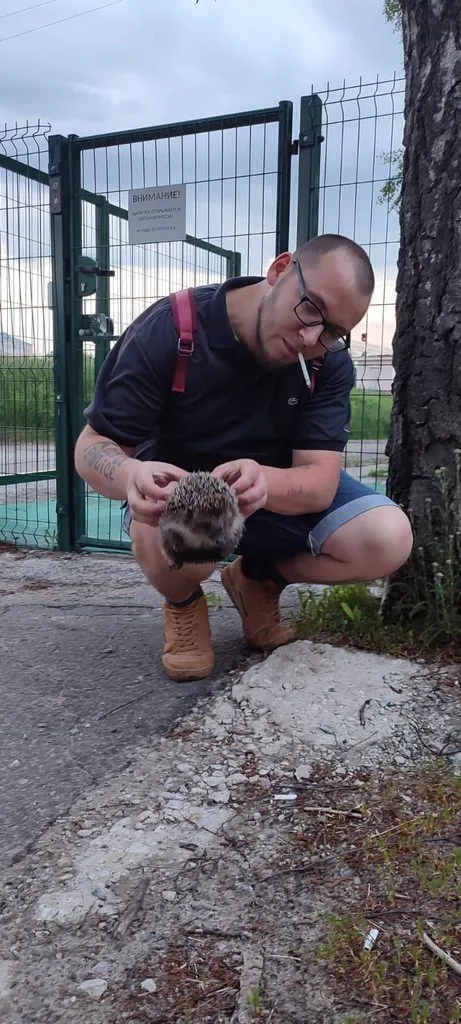 Чайная беседка