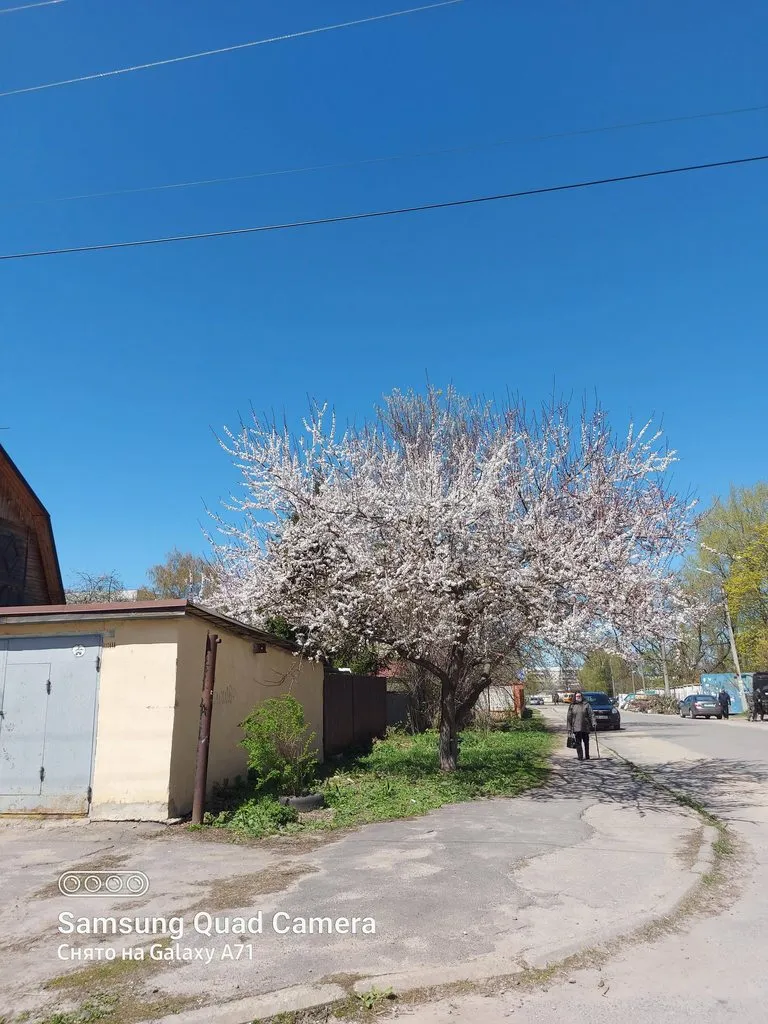 Чайная беседка