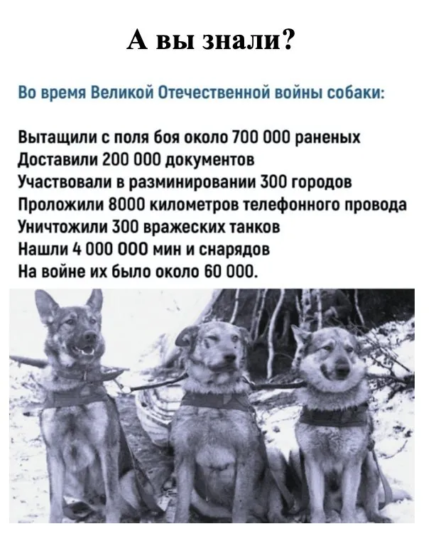 Это интересно!