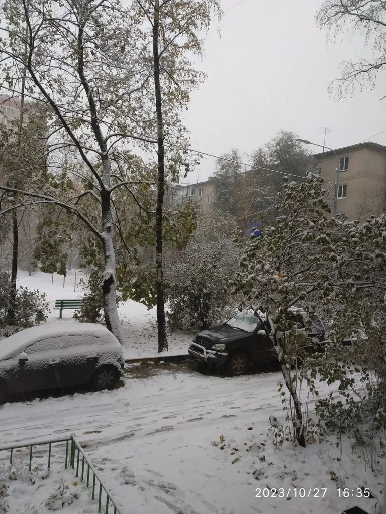 Чайная беседка