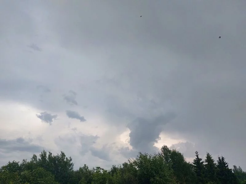 Такое разное небо