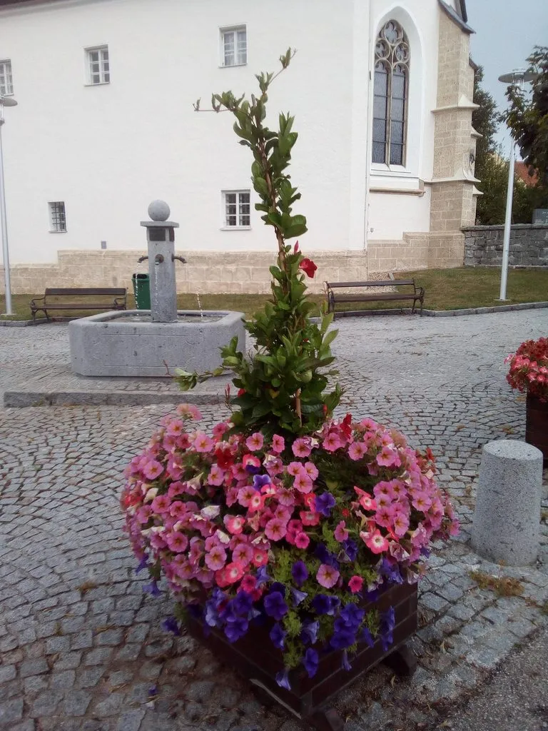 Чайная беседка