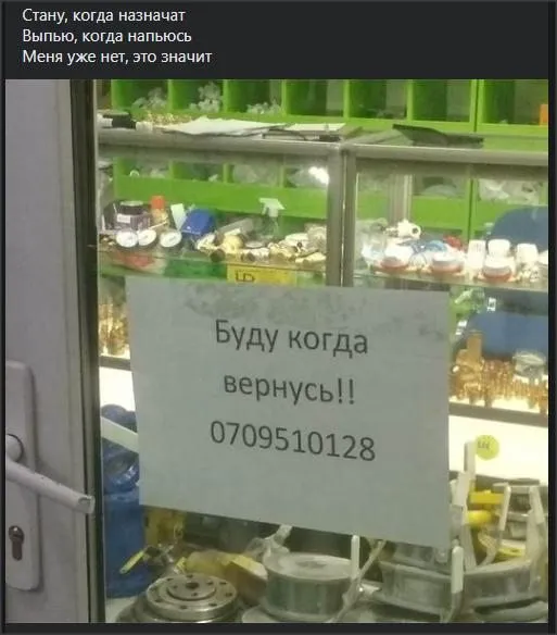 Всюду рифмы
