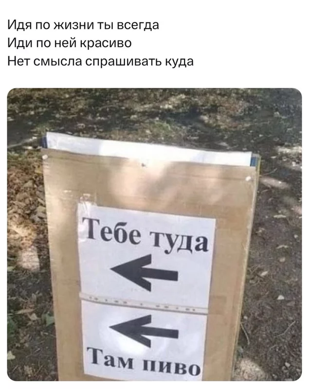 Всюду рифмы
