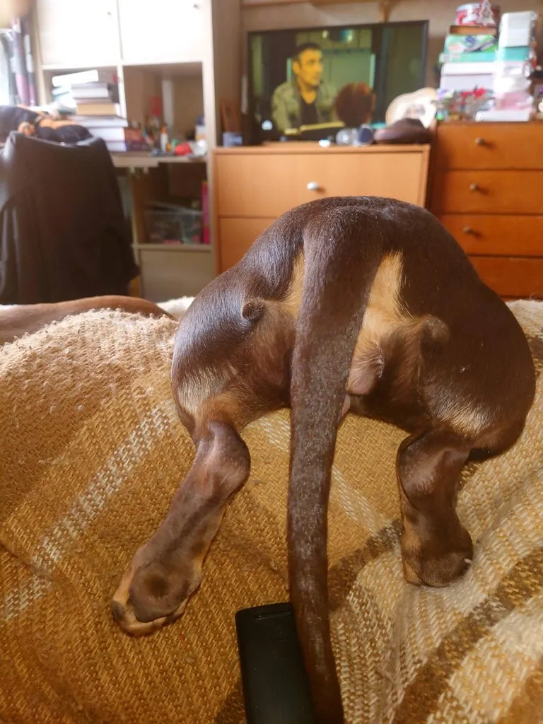 Живой Журнал Жульена