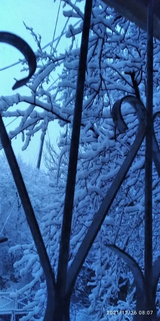 Tapтaлeтки & Ко