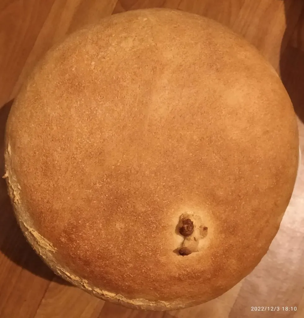 Tapтaлeтки & Ко