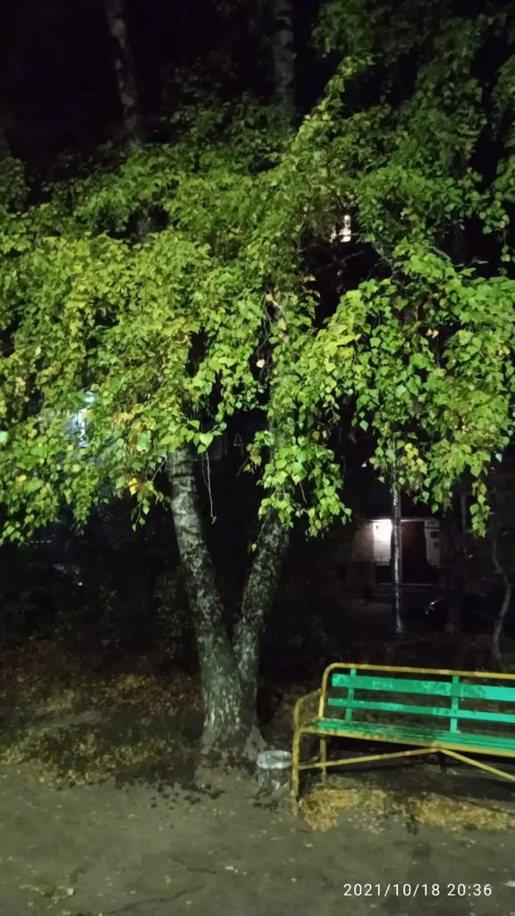 Tapтaлeтки & Ко