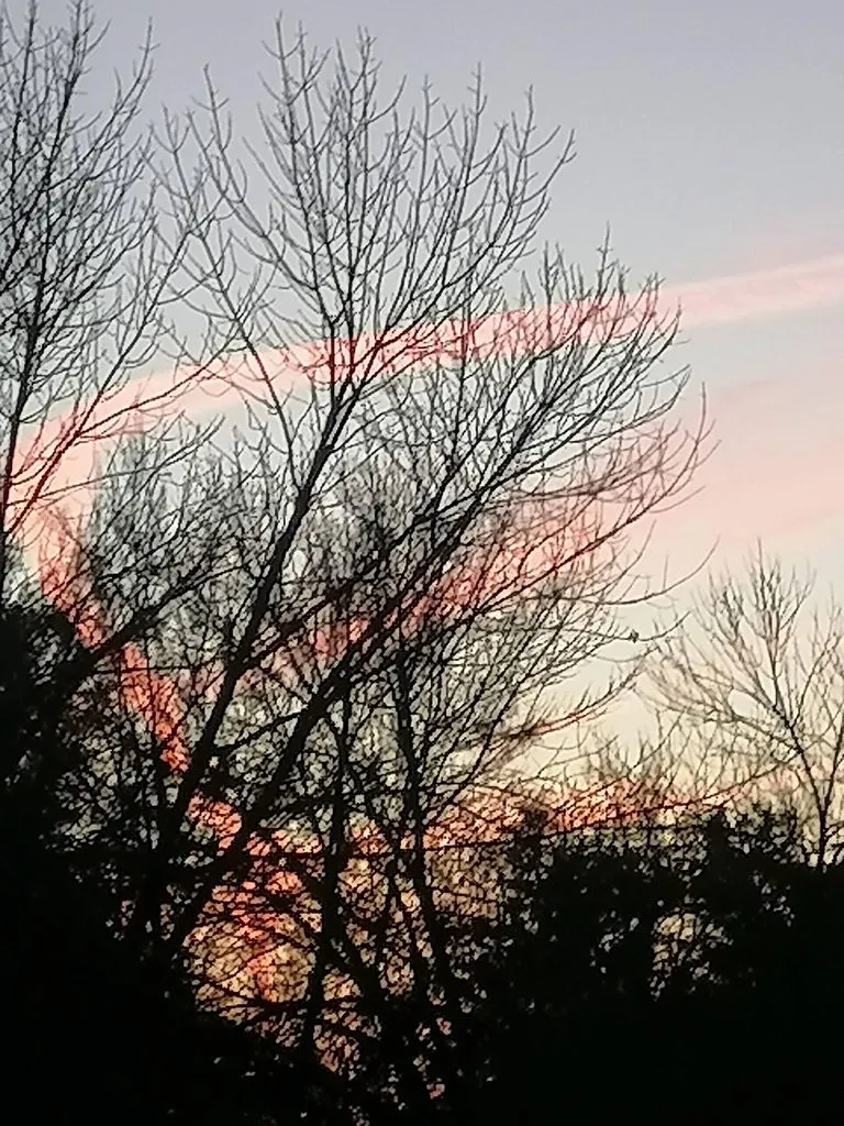 Чайная беседка