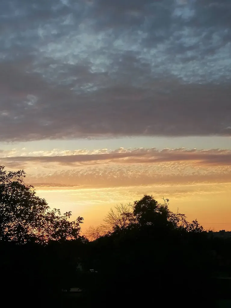 Чайная беседка