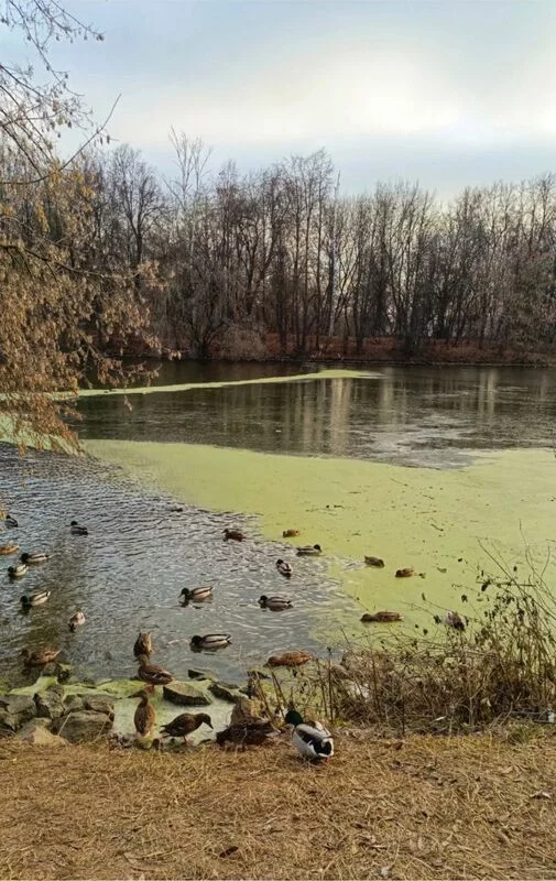 Коломенское