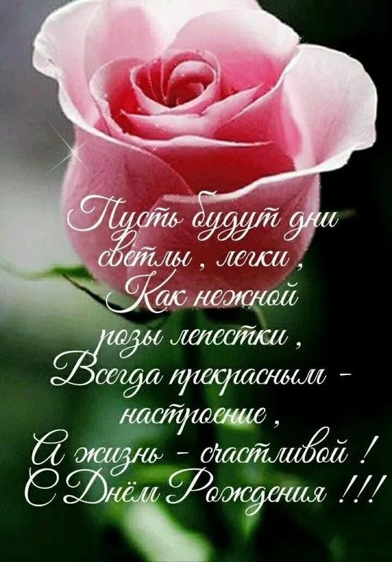 Tapтaлeтки & Ко