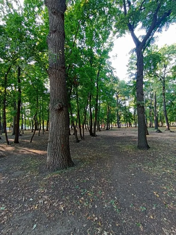       Ах, Самара - городок... 
