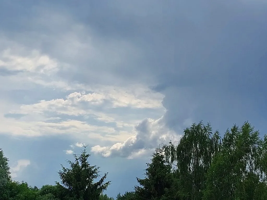 Такое разное небо