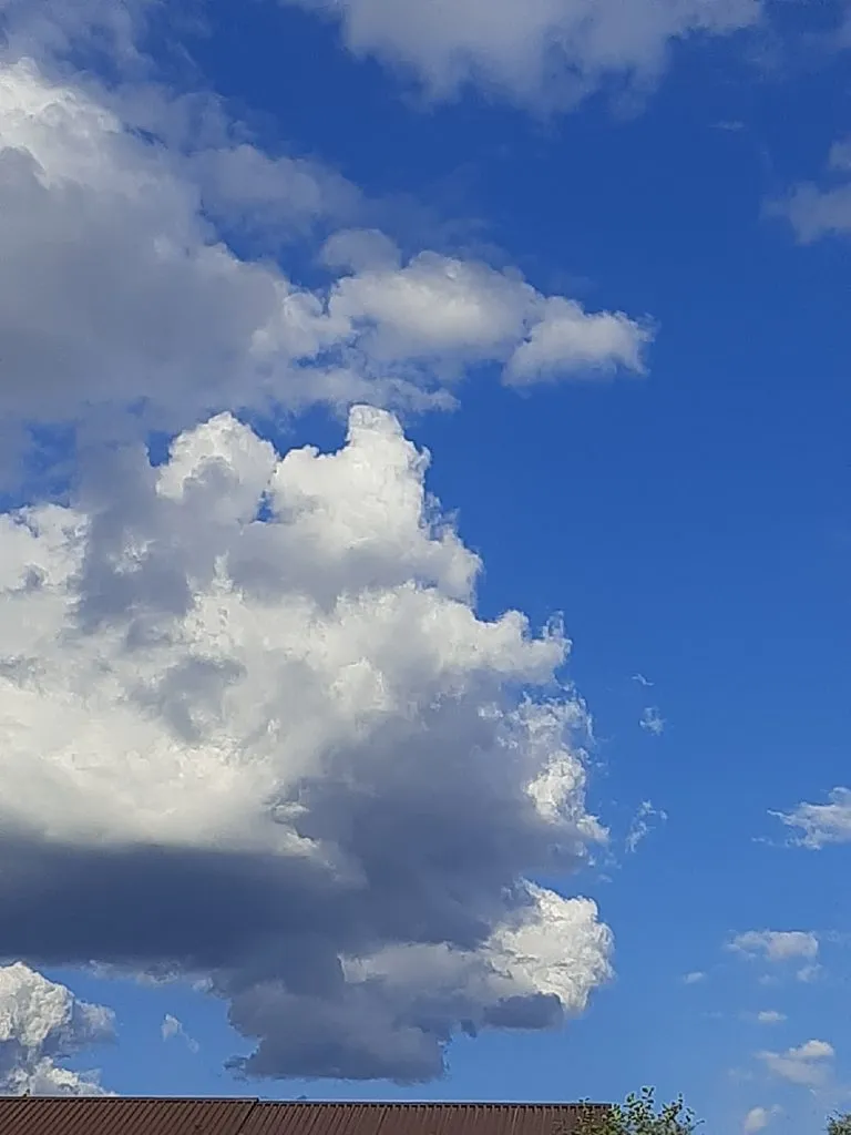 Такое разное небо