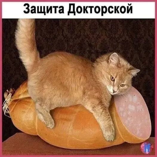Кафе «У пани Сони»