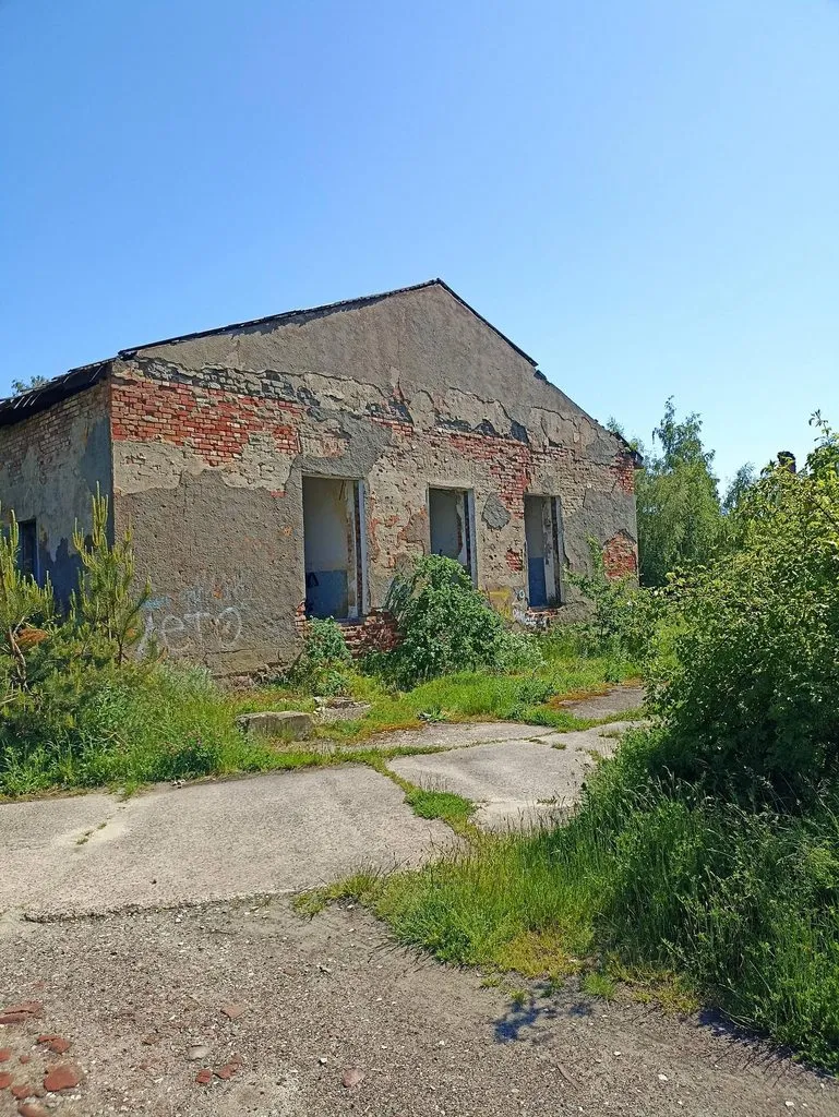 Калининградская область (не только море и янтарь) 
