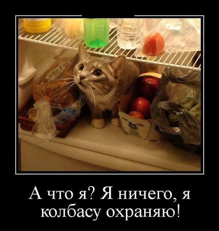 Посмеялся сам - поделись с другом!!!