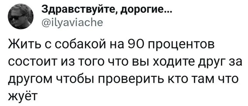 Посмеялся сам - поделись с другом!!!