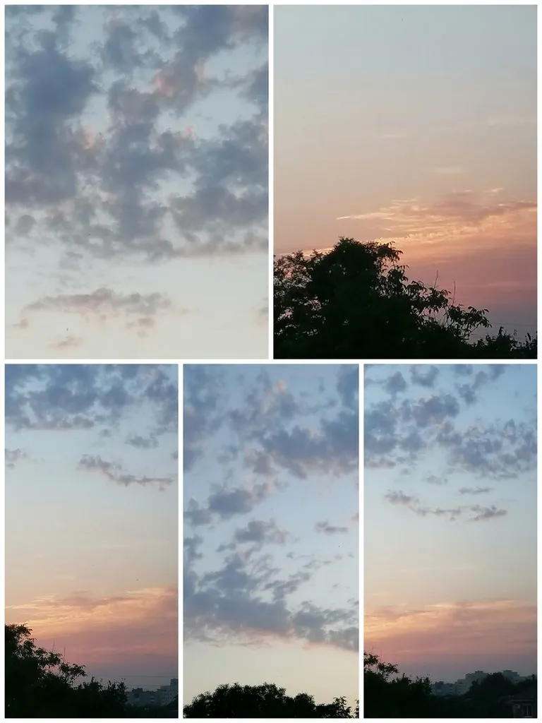 Чайная беседка