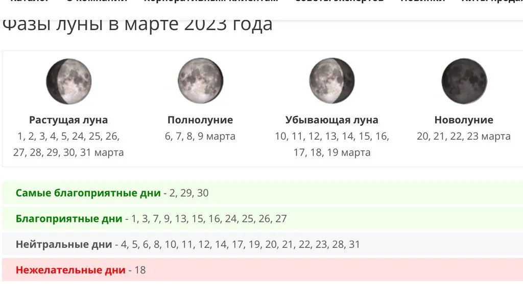 Сажаем, растим, собираем урожай…