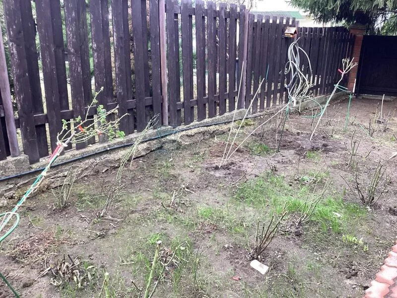 Загородная жизнь - обустройство на своей земле во всем ее разнообразии