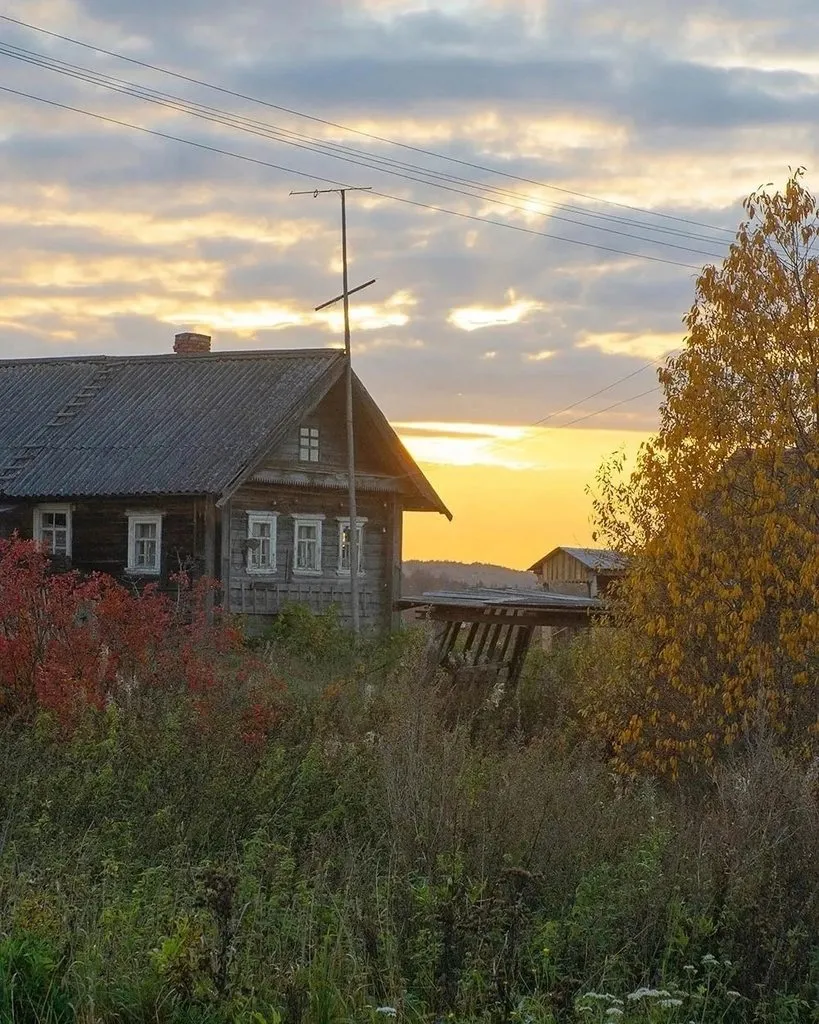 Арт галерея