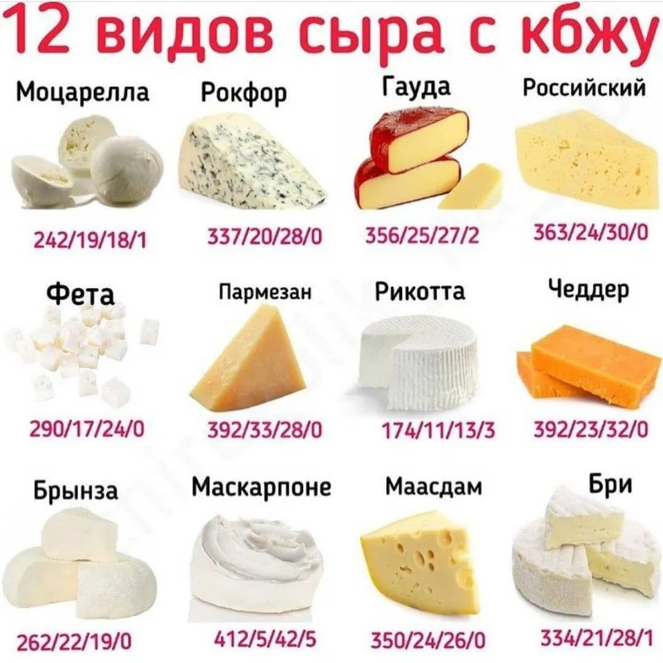Кулинарная инфографика