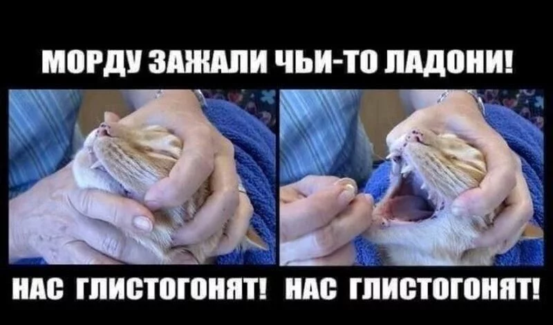 Посмеялся сам - поделись с другом!!!