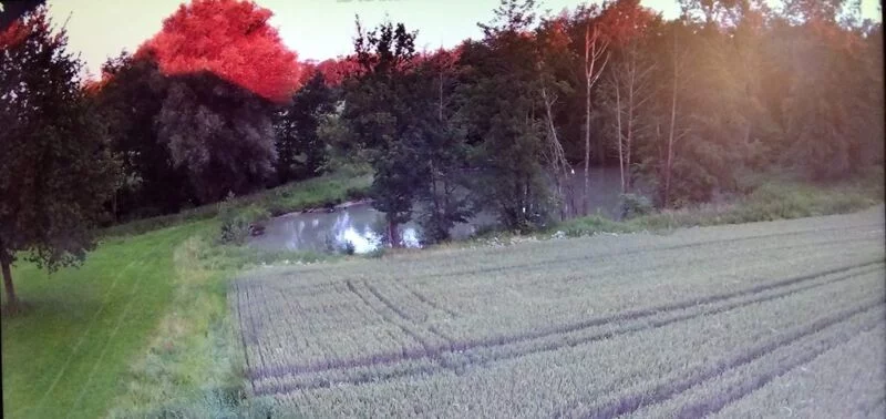 Чайная беседка