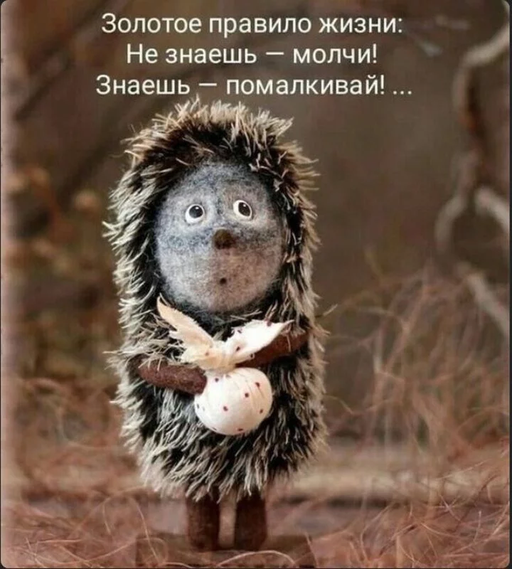 Лаконичная мудрость