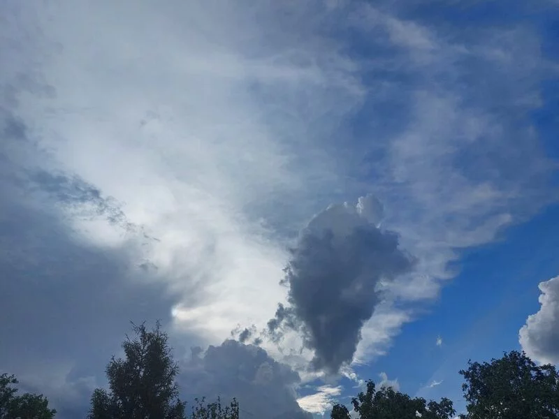 Такое разное небо