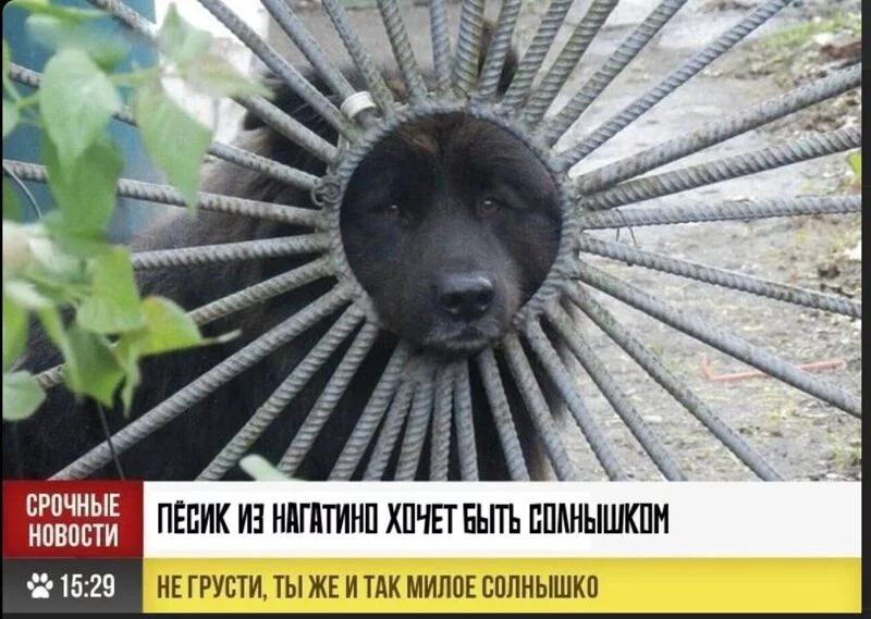 Позитивчик (фото, видео, рассказы для хорошего настроения)