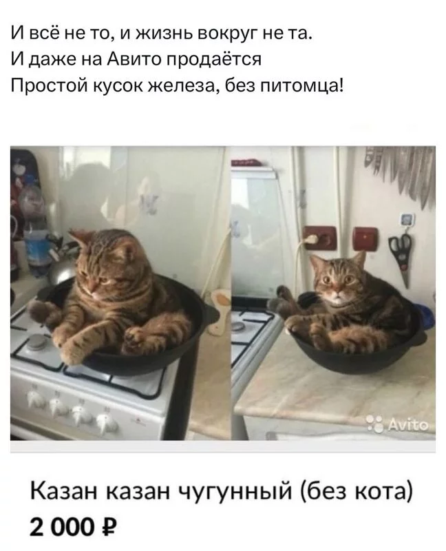 Всюду рифмы