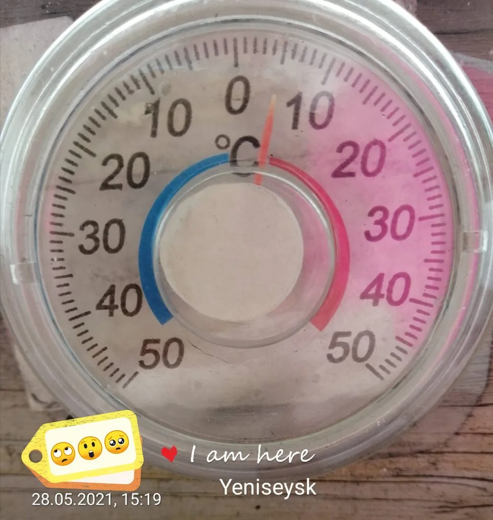 Tapтaлeтки & Ко