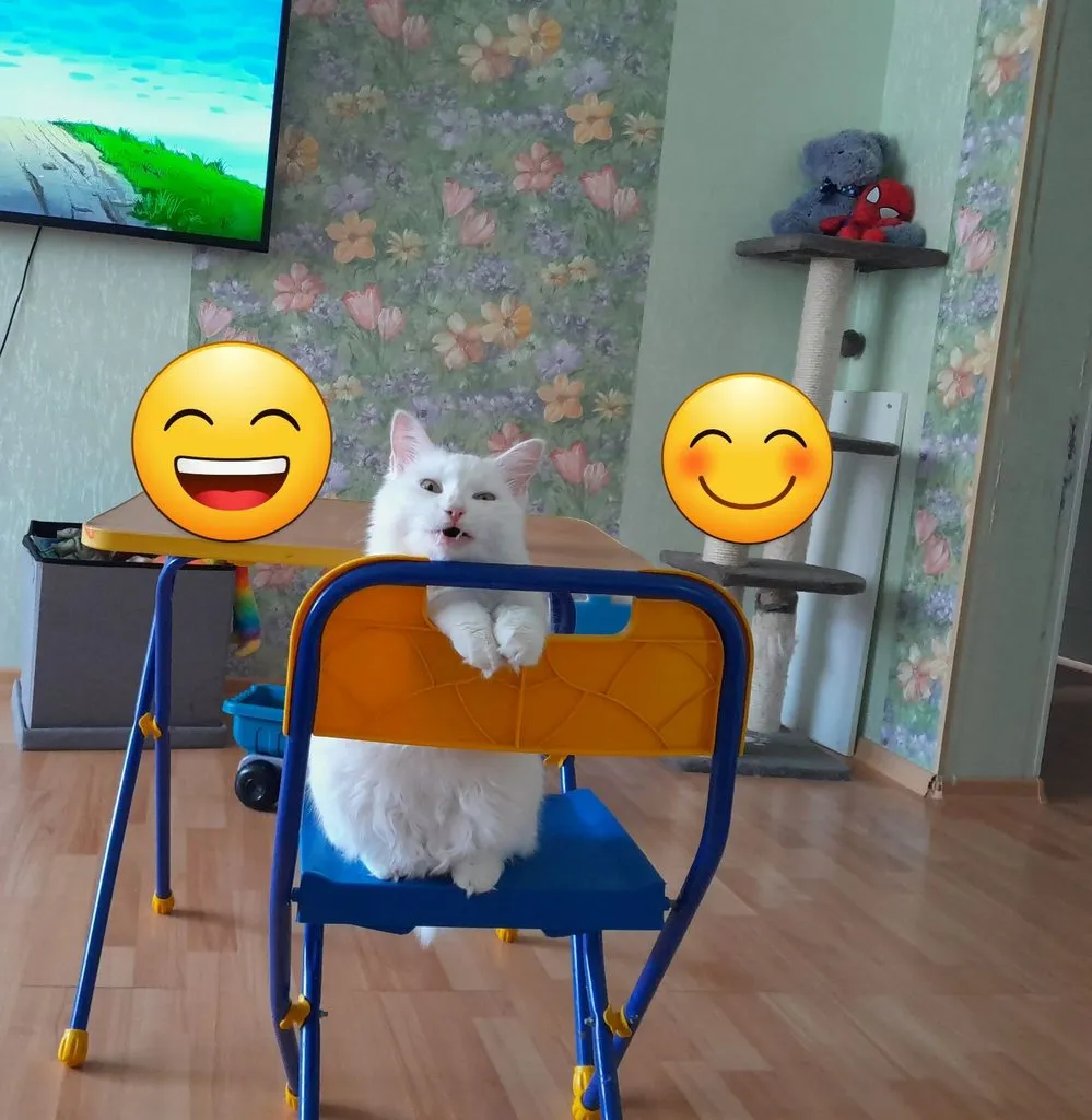 Посмеялся сам - поделись с другом!!!