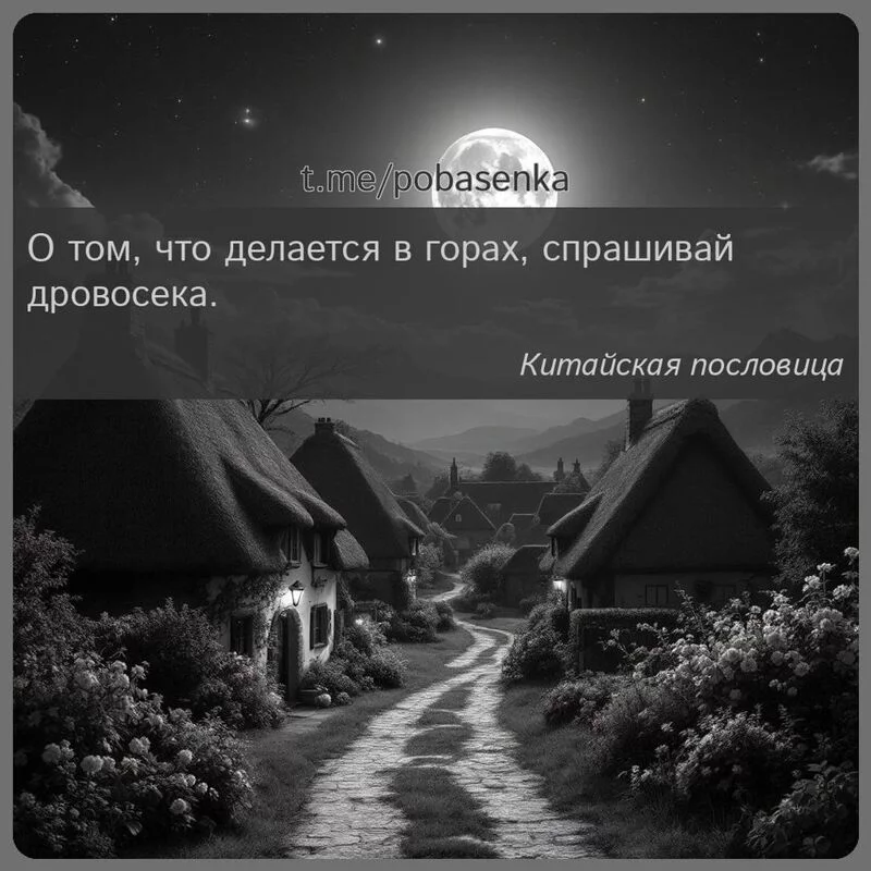 «О том, что делается в горах, спрашивай...» height="550" width="550"