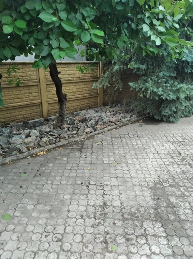 Чайная беседка