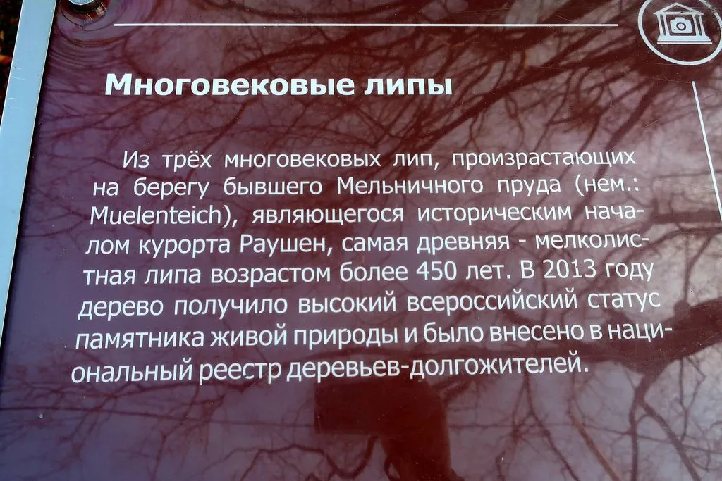 Ну здравствуй, Калининград! 35 лет спустя