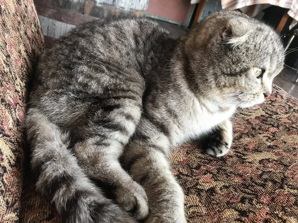 Чайная беседка