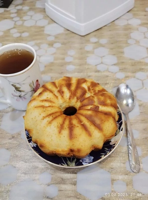Пирогница электрическая 
