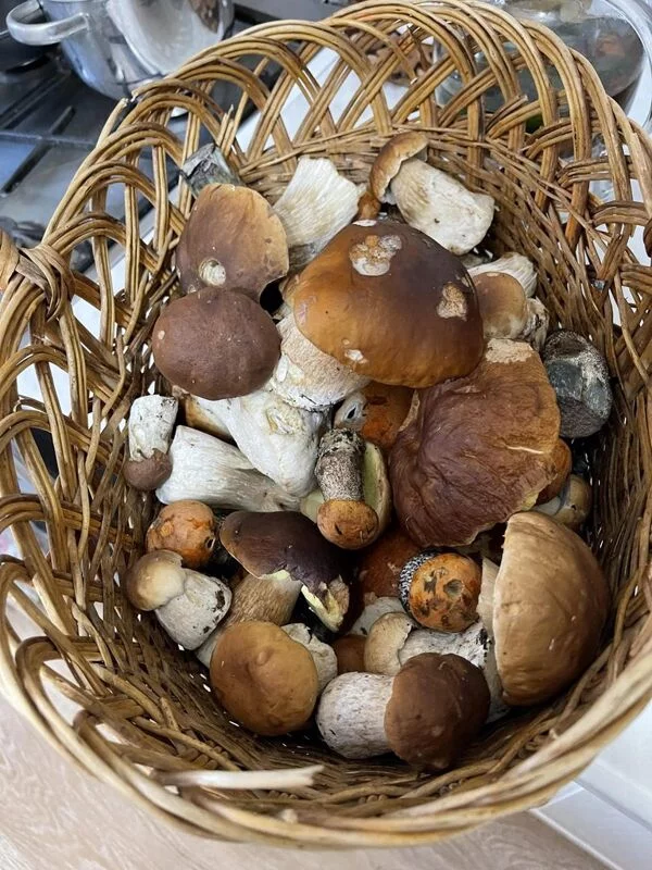 Чайная беседка