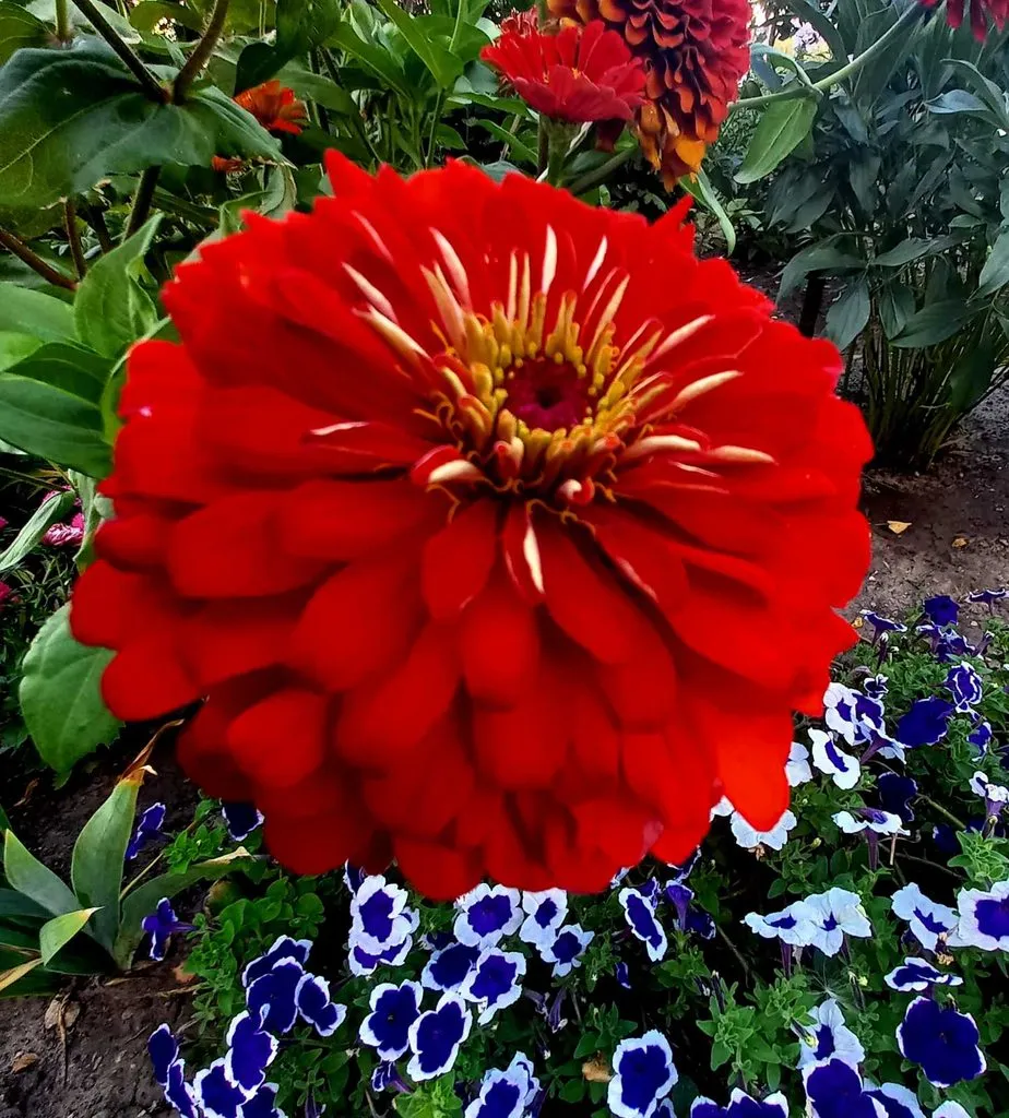 Чайная беседка