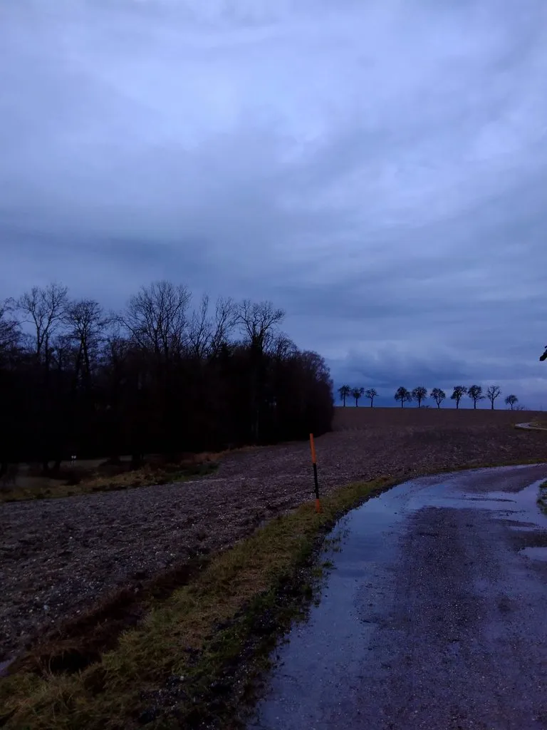 Чайная беседка