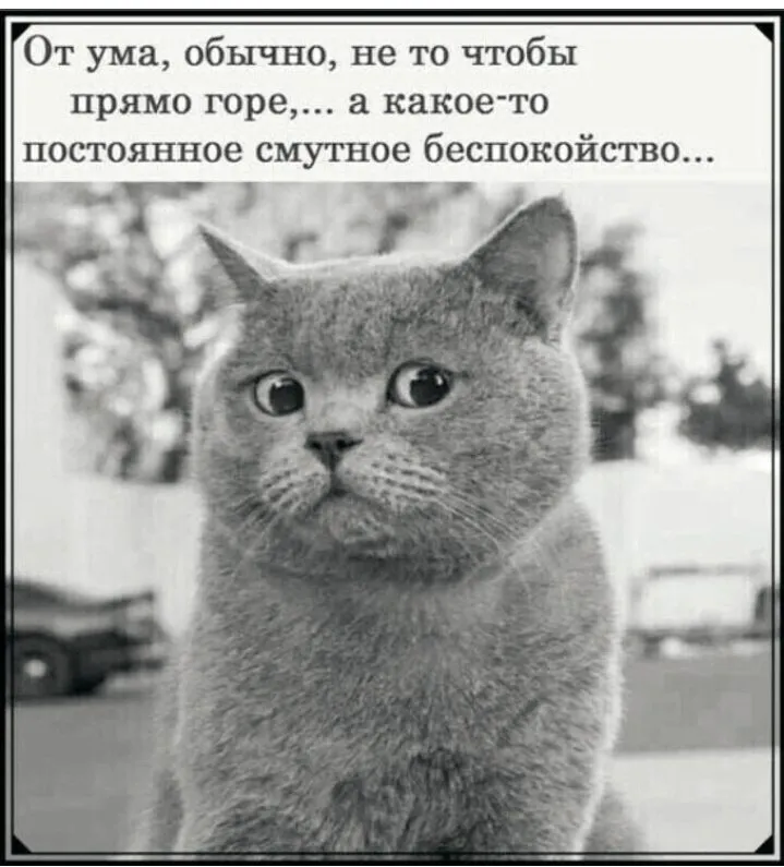 Кошичкина полиция