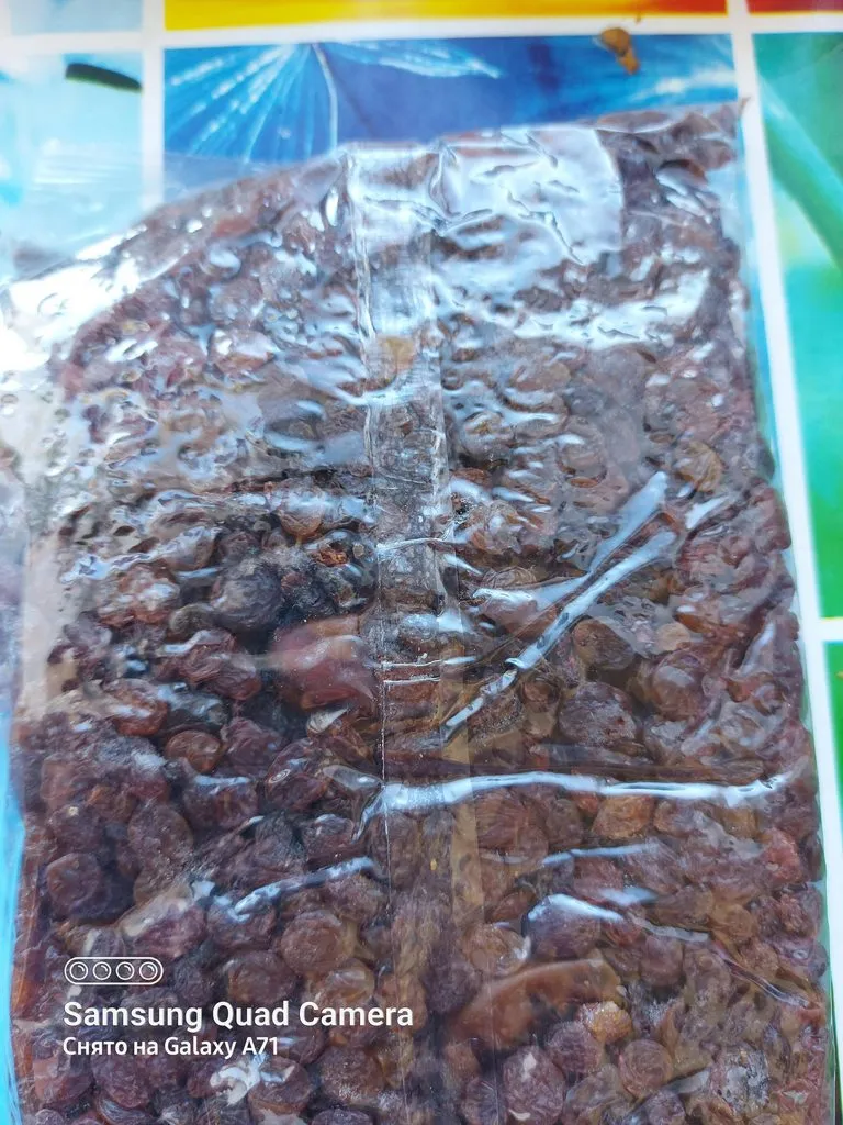 Tapтaлeтки & Ко