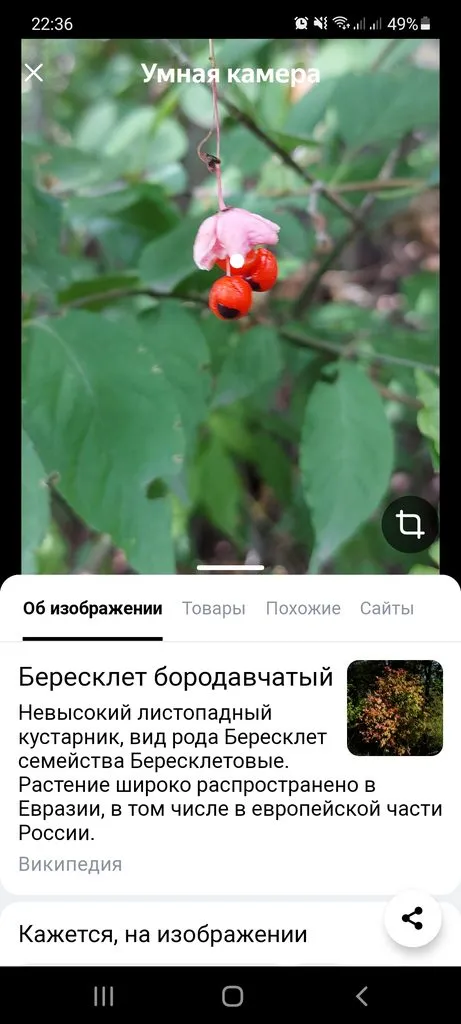 Чайная беседка